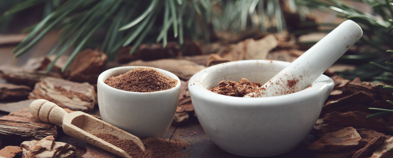 The Surprising Benefits of Pine Bark for Bladder Health: What You Need to Know